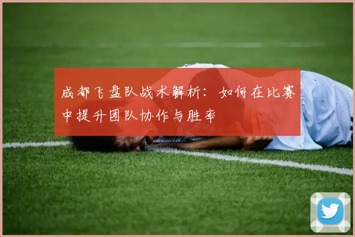 成都飞盘队战术解析：如何在比赛中提升团队协作与胜率