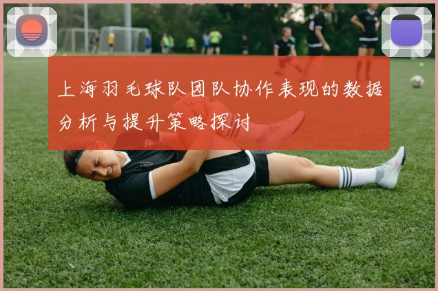 上海羽毛球队团队协作表现的数据分析与提升策略探讨
